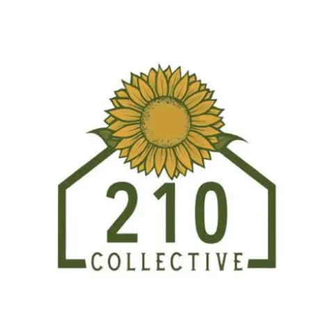 210 Collective